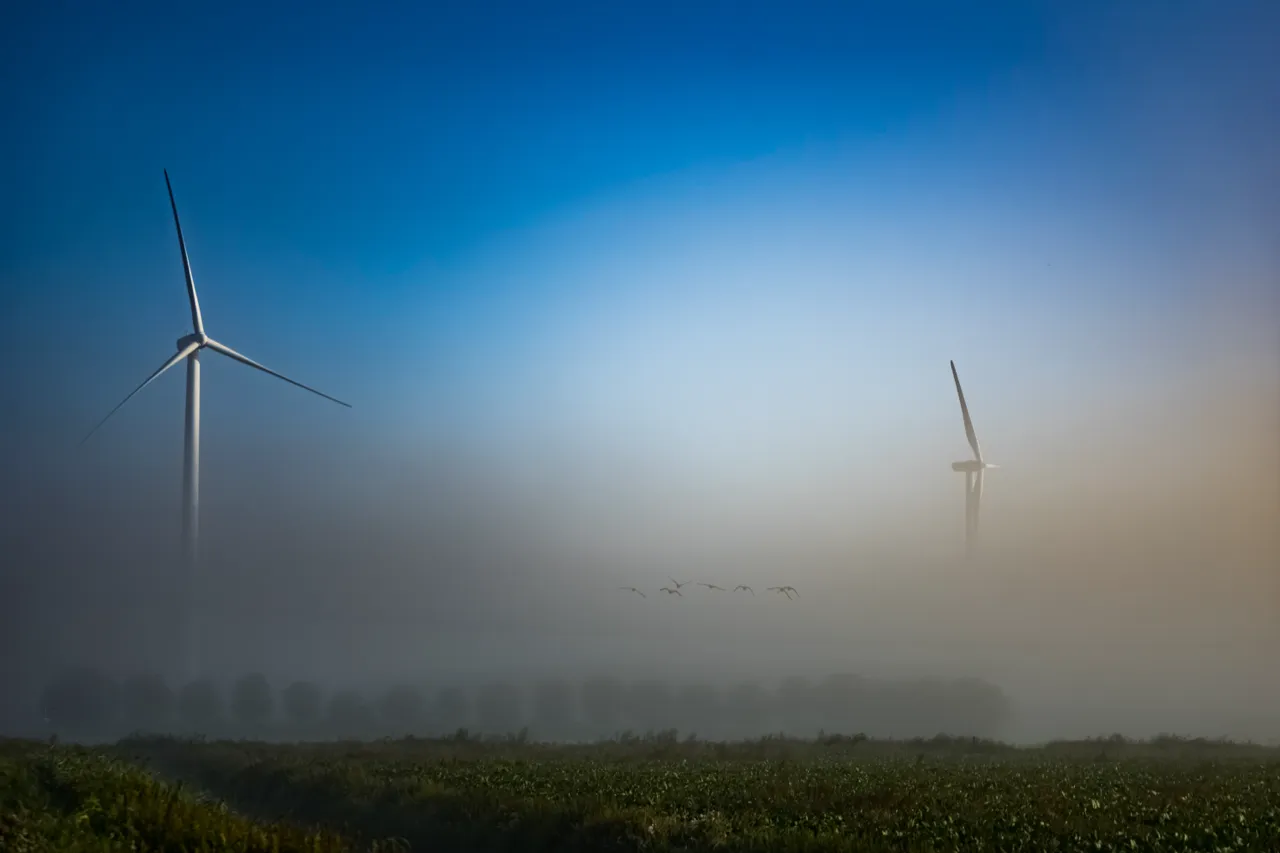 Windmolens boven een mistveld