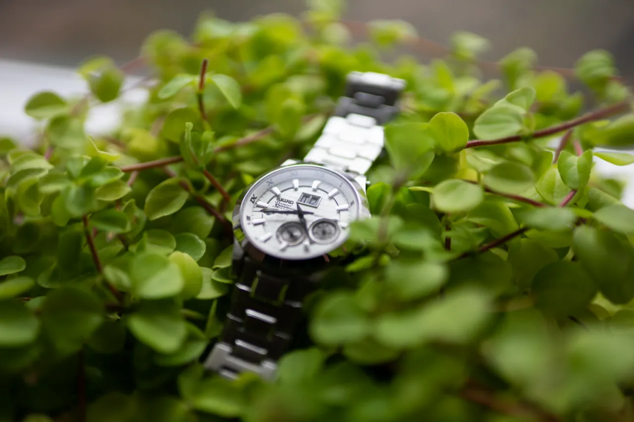 Horloge tussen het groen
