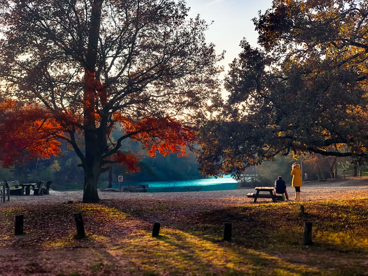 Herfstkleuren in het park